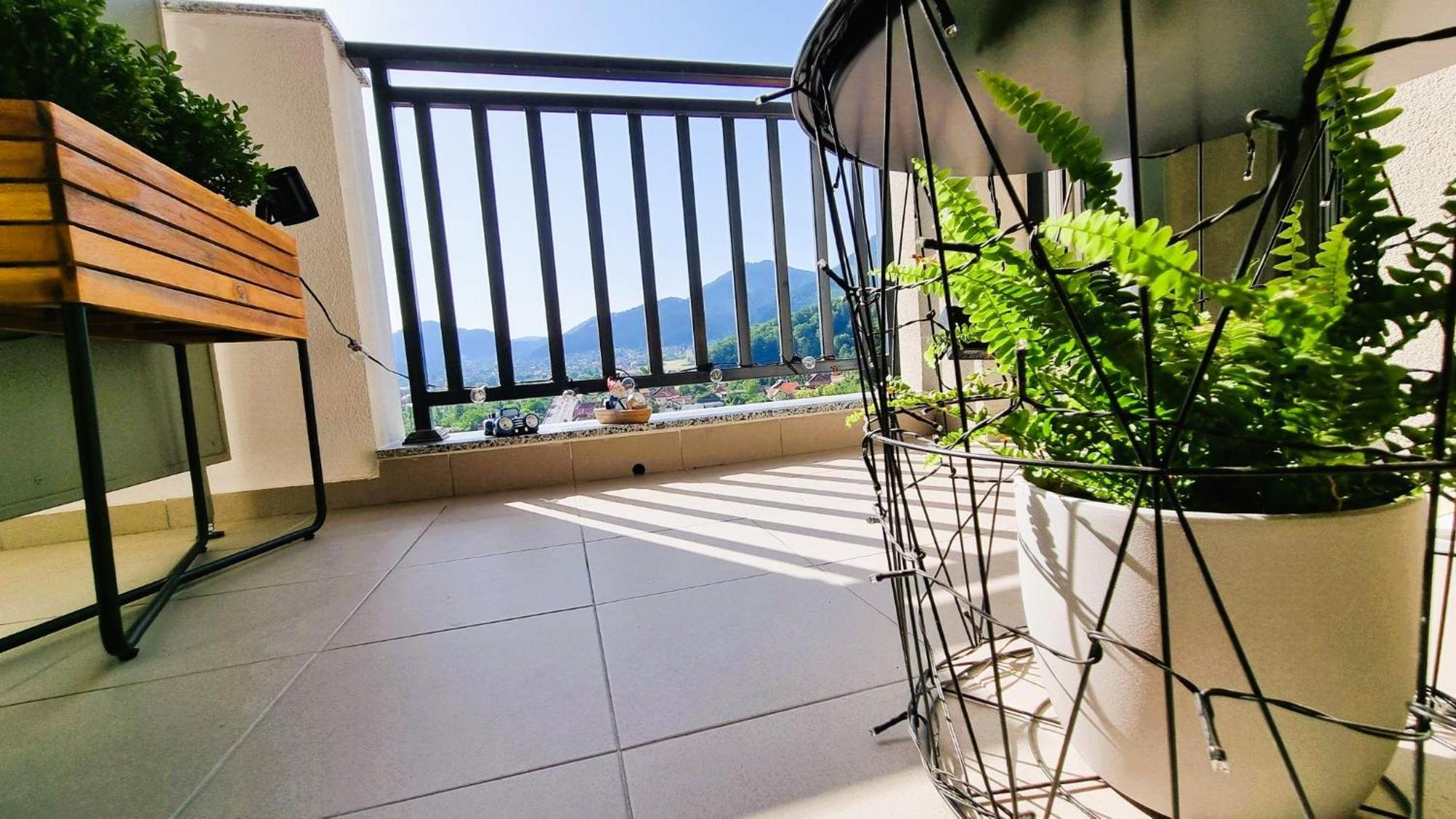 Mountain View Retreat Apartment - בראשוב מראה חיצוני תמונה