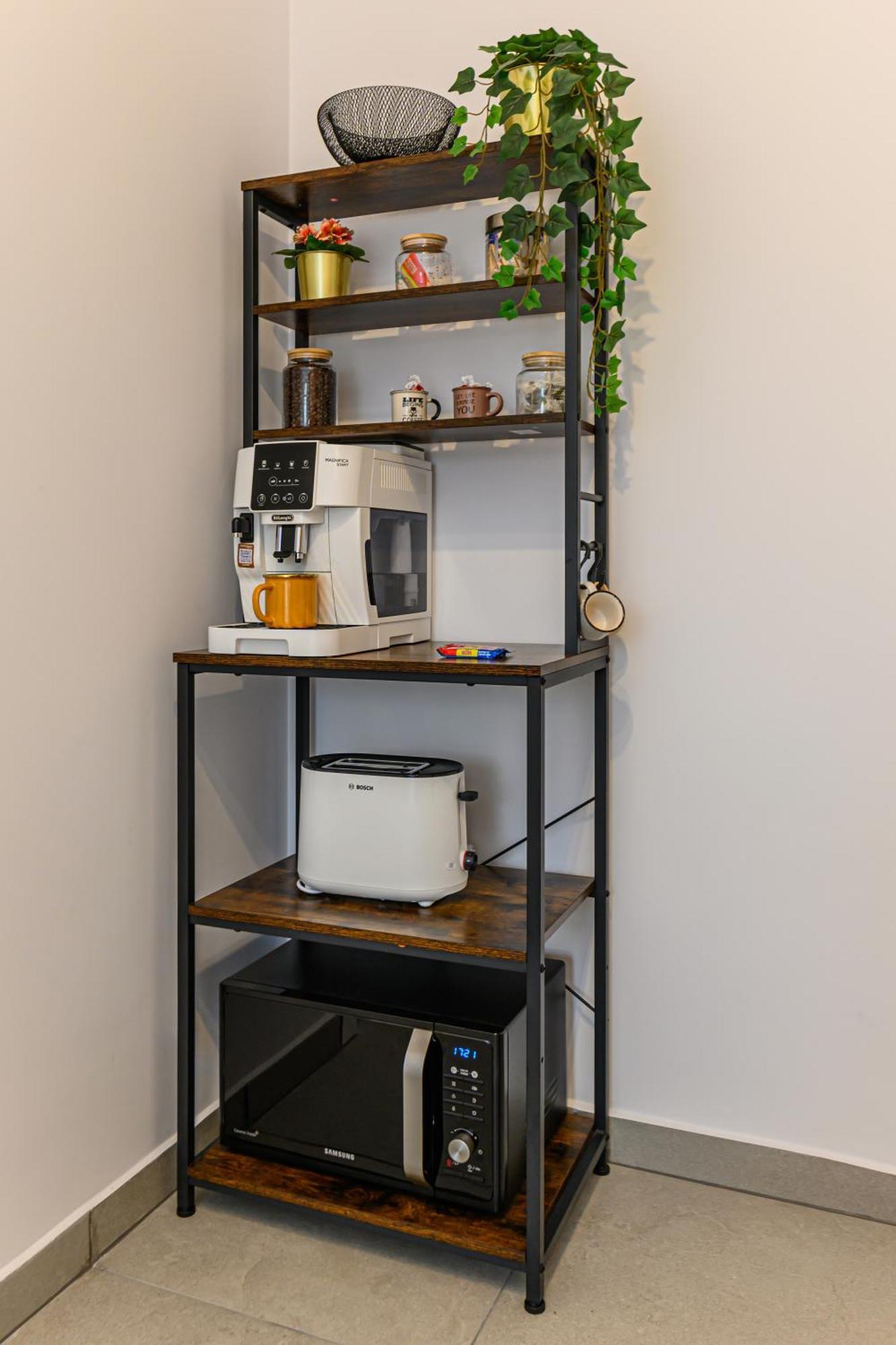 Mountain View Retreat Apartment - בראשוב מראה חיצוני תמונה